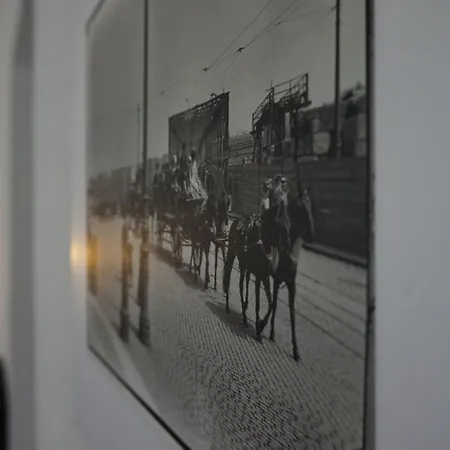 Moderne Nahe Der Dresdener Neustadt *
